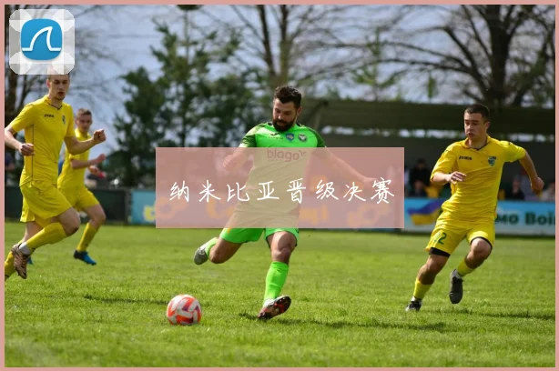 纳米比亚晋级决赛
