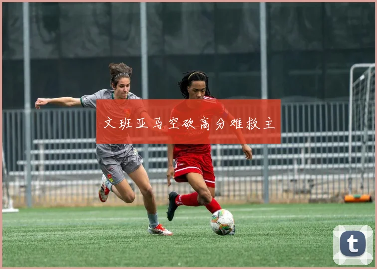 文班亚马空砍高分难救主