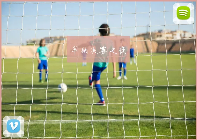 辛纳决赛之夜