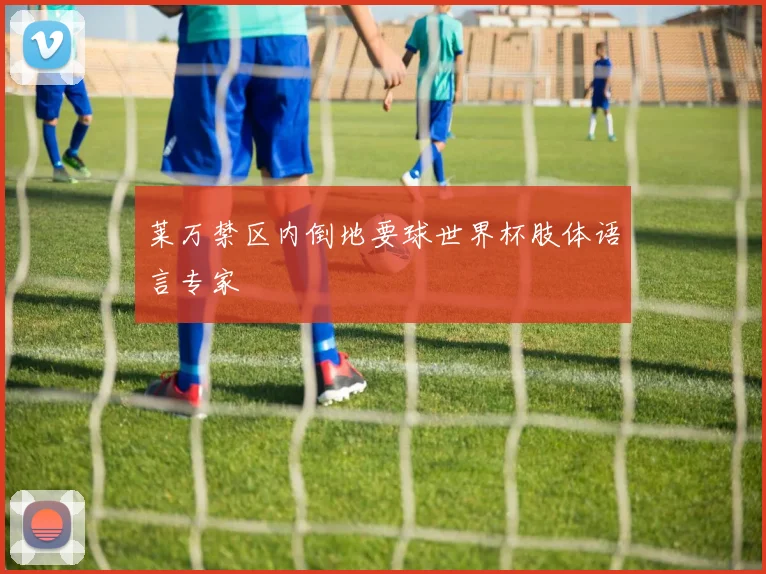 莱万禁区内倒地要球世界杯肢体语言专家