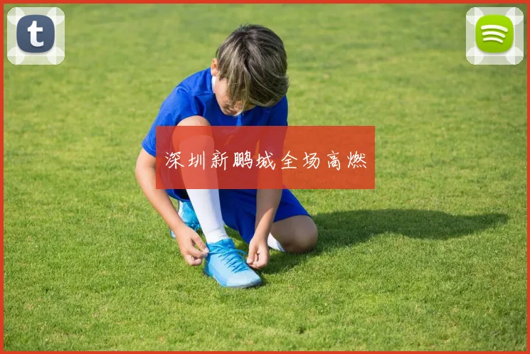 深圳新鹏城全场高燃