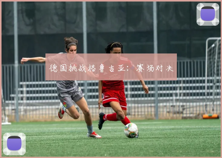 德国挑战格鲁吉亚：赛场对决