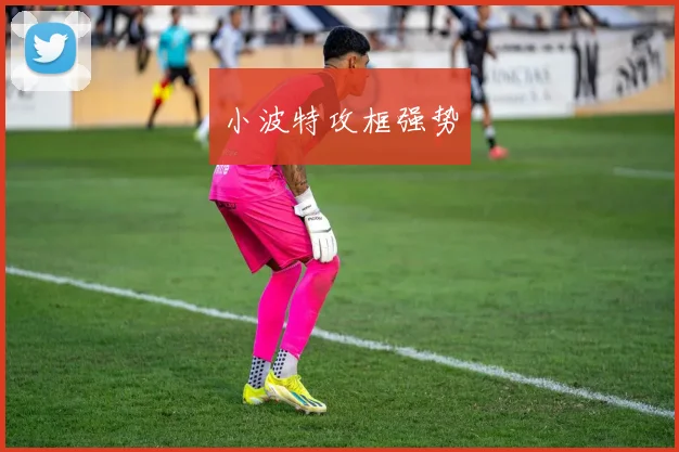小波特攻框强势