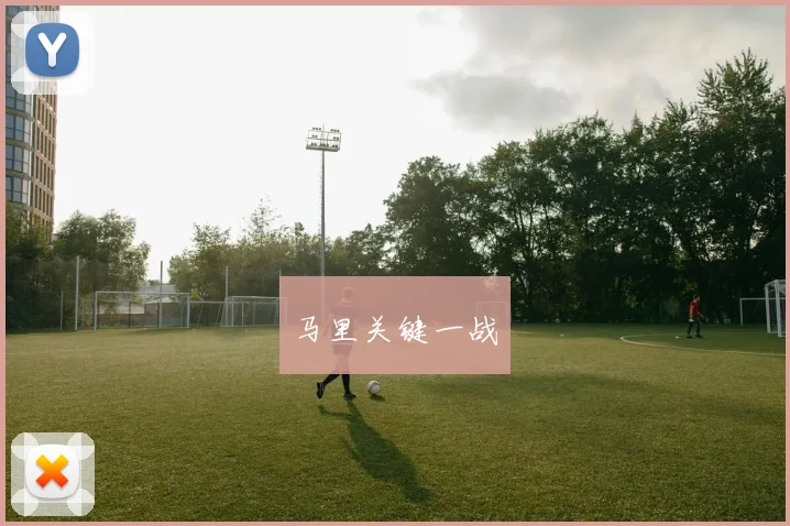 马里关键一战