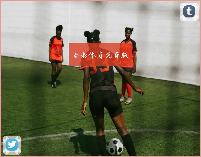 杏彩体育免费版