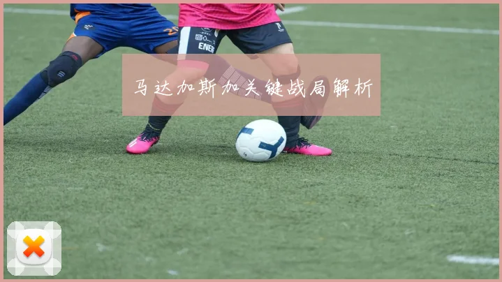 马达加斯加关键战局解析