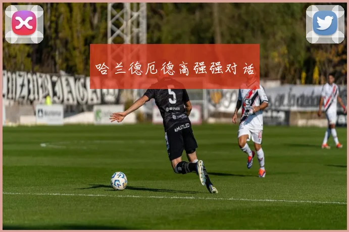 哈兰德厄德高强强对话