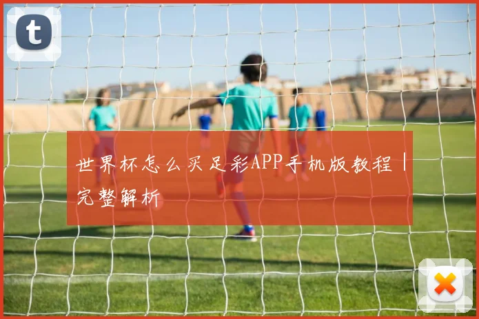 世界杯怎么买足彩APP手机版教程｜完整解析
