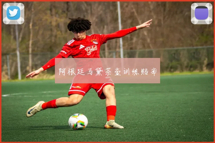 阿根廷马黛茶壶训练赔率