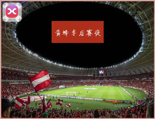 黄蜂季后赛夜