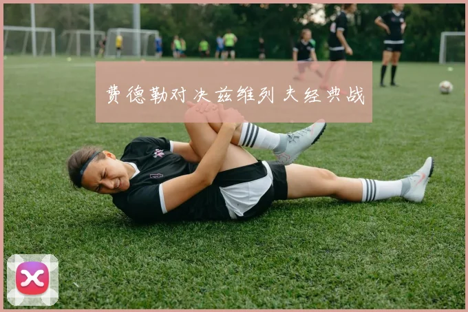 费德勒对决兹维列夫经典战