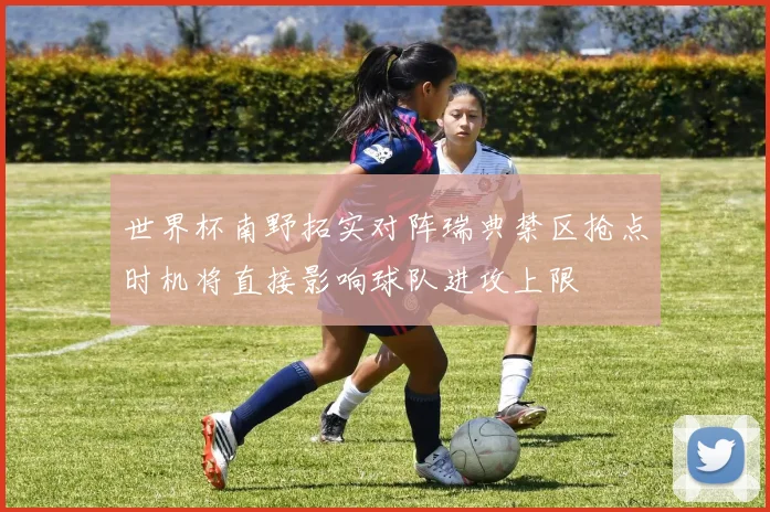 世界杯南野拓实对阵瑞典禁区抢点时机将直接影响球队进攻上限
