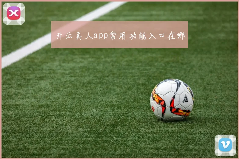 开云真人app常用功能入口在哪