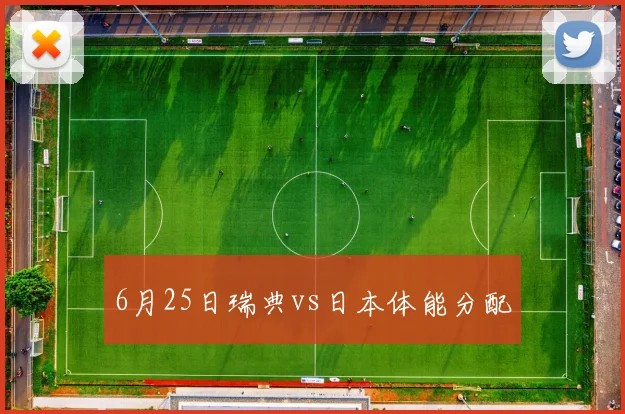 6月25日瑞典vs日本体能分配