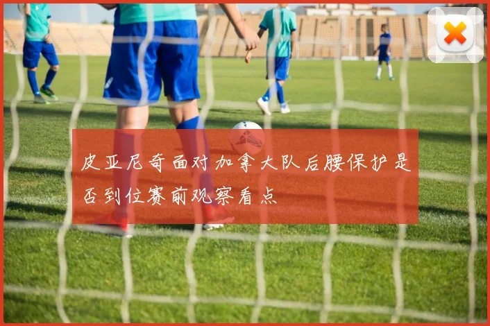 皮亚尼奇面对加拿大队后腰保护是否到位赛前观察看点