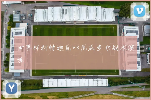 世界杯科特迪瓦vs厄瓜多尔战术演练