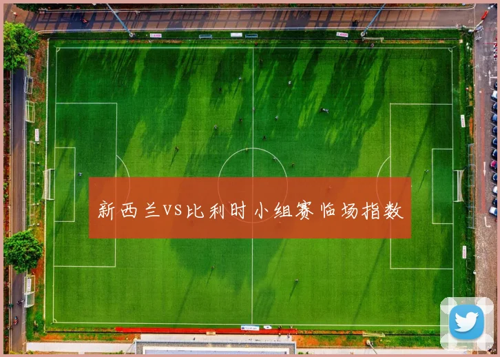 新西兰vs比利时小组赛临场指数